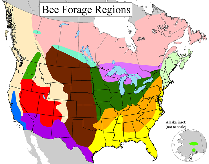 Honneybee forage maps by state